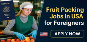 Package Shipper Jobs in USA for Foreigners 2025