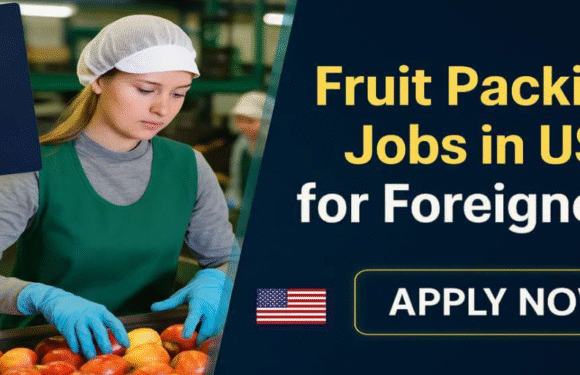 Package Shipper Jobs in USA for Foreigners 2025
